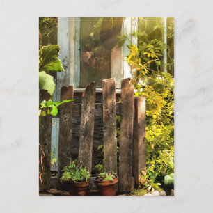 Overgrown garden in morning sunlight postcard