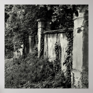 Overgrown garden wall poster