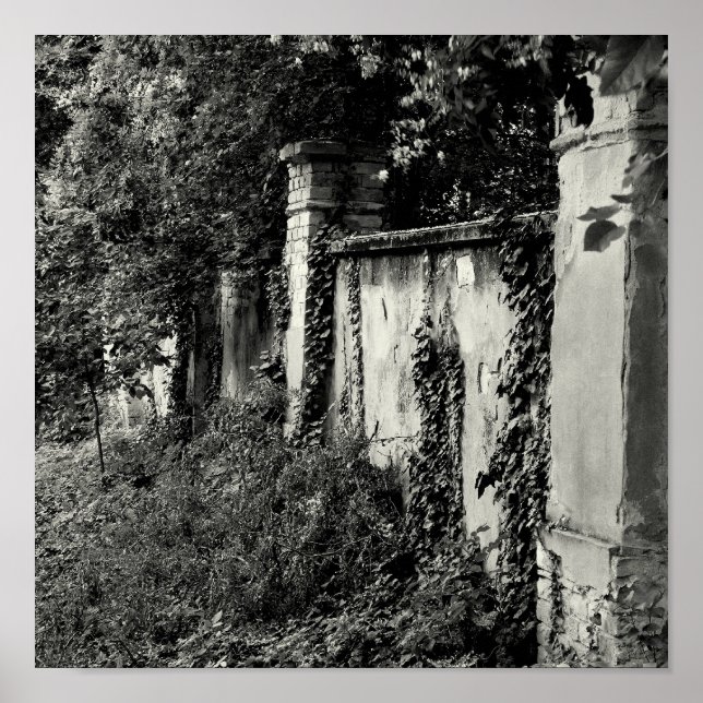 Overgrown garden wall poster (Front)
