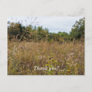 Overgrown Prairie Postcard