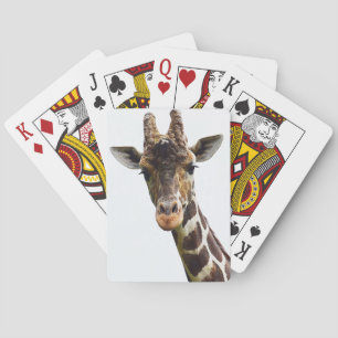 Overhead Giraffe Deck of Cards