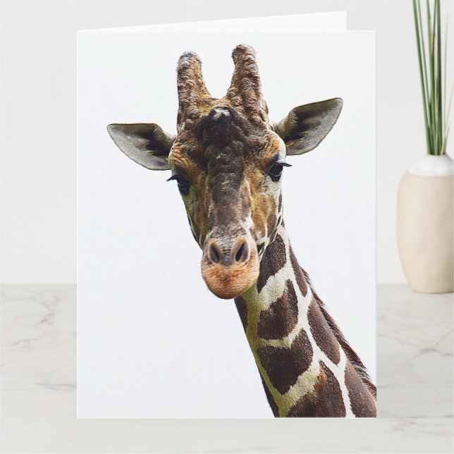 Overhead Giraffe Large Greeting Card (Front)
