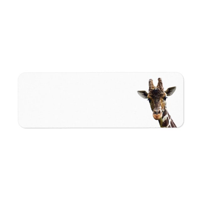 Overhead Giraffe Return Address Labels (Front)