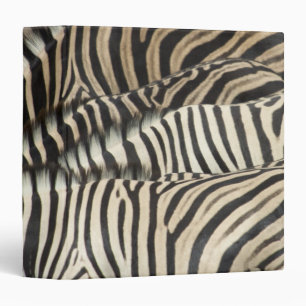 Overhead view of Burchell's Zebra Binder