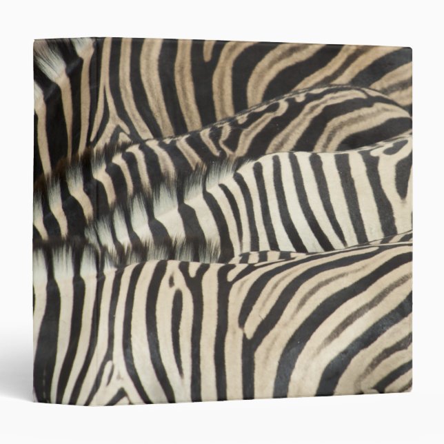 Overhead view of Burchell's Zebra Binder (Front/Spine)