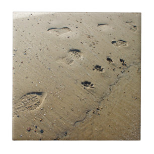 Overhead view on the wet sand at the beach with fo tile