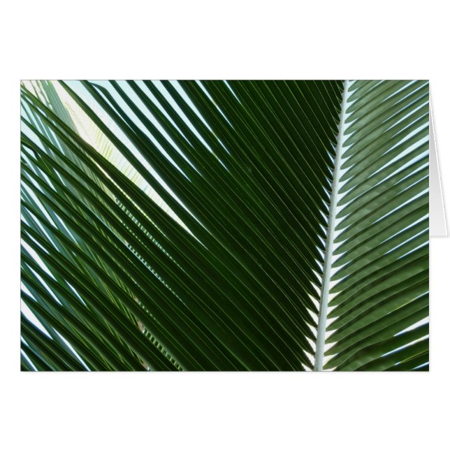 Overlapping Palm Fronds Tropical Green Abstract (Front Horizontal)