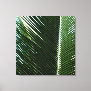 Overlapping Palm Fronds Tropical Green Abstract Canvas Print