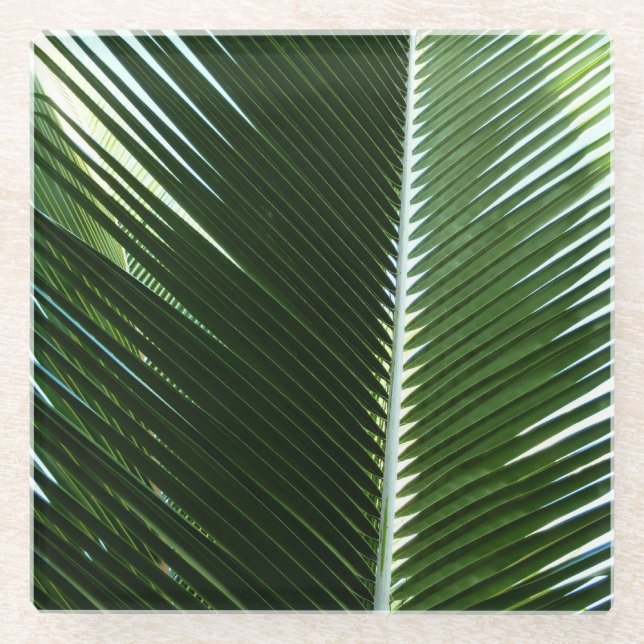 Overlapping Palm Fronds Tropical Green Abstract Glass Coaster (Front)