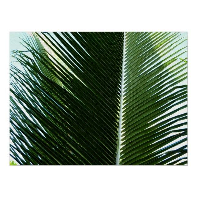 Overlapping Palm Fronds Tropical Green Abstract Poster (Front)
