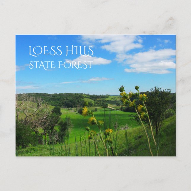 Overlook Path View, Loess Hills State Forest, Iowa Postcard (Front)