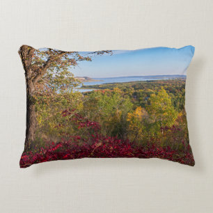 overlooking lake pepin from frontenac state park accent pillow