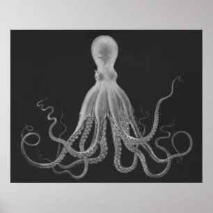 Oversized Octopus Triptych Print in Grey