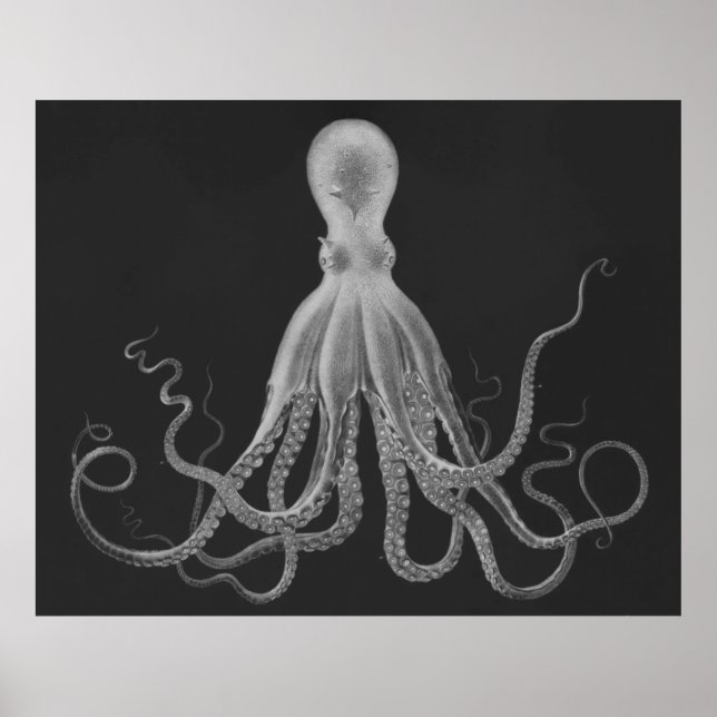 Oversized Octopus Triptych Print in Grey (Front)