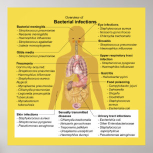Overview of Bacterial Infections Poster