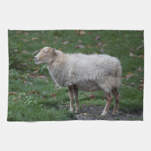 Ovis aries kitchen towel
