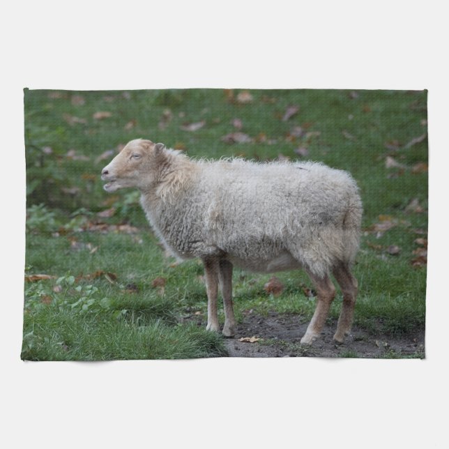 Ovis aries kitchen towel (Horizontal)