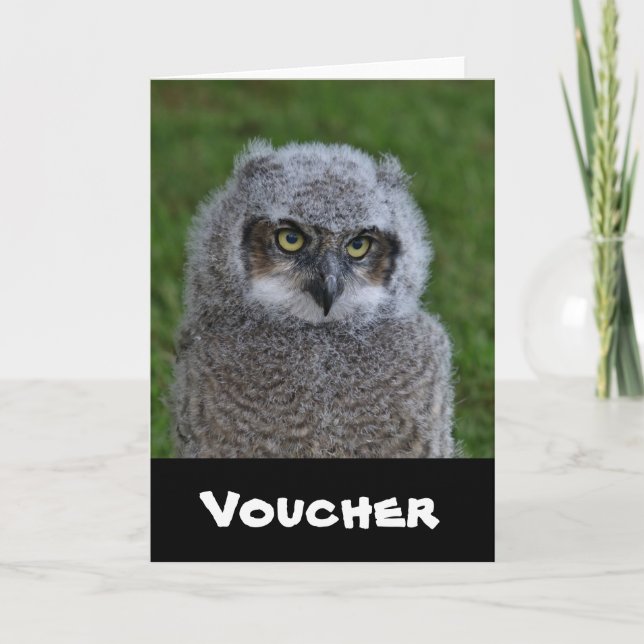 Owl_20180215_by_JAMFoto Card (Front)
