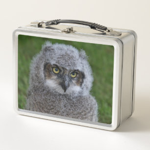 Owl_20180215_by_JAMFoto Metal Lunch Box