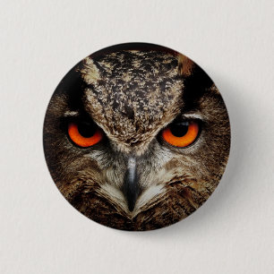 Owl 2 Inch Round Button
