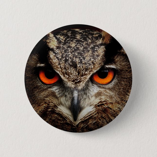 Owl 2 Inch Round Button (Front)
