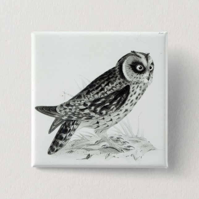 Owl 2 Inch Square Button (Front)