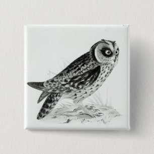 Owl 2 Inch Square Button