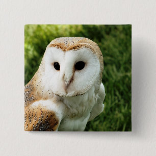 OWL 2 INCH SQUARE BUTTON