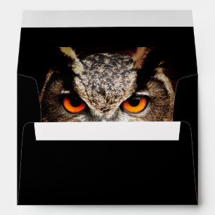 Owl 3 Envelope