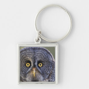 Owl 3 keychain