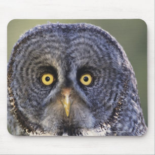 Owl 3 mouse pad