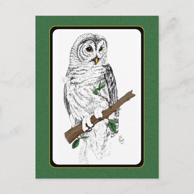 Owl 3 Postcard (Front)