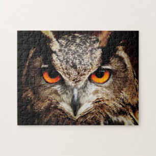 Owl 3 Puzzle