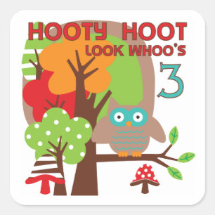Owl 3rd Birthday T-shirts and Gifts Square Sticker