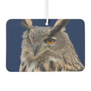Owl Air Freshener