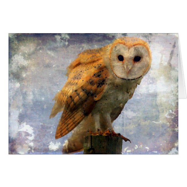 Owl All Occassion Blank Inside Greeting Card (Front Horizontal)