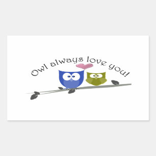 Owl always love you, cute Owls Art Sticker
