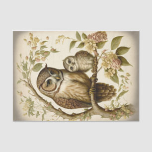 Owl and Baby Tissue Paper