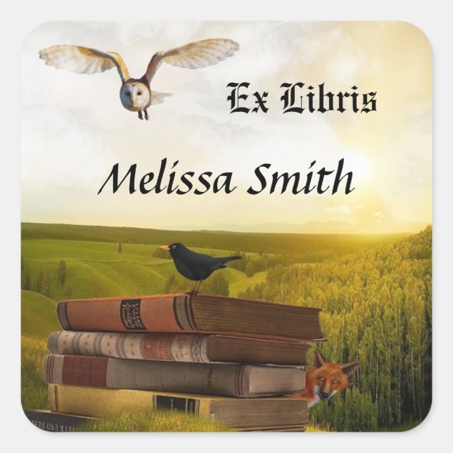 Owl And Books Add Name Ex Libris Square Sticker (Front)