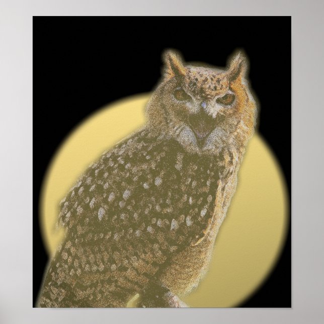 Owl and Full Moon Poster (Front)
