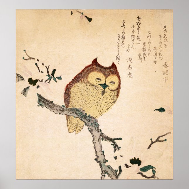 Owl and magnolia – Kobushi ni mimizuku Poster (Front)