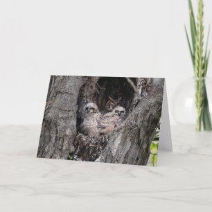 Owl and Owlets Card