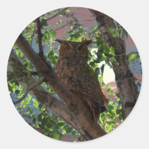 Owl and the Moon Classic Round Sticker
