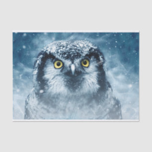 Owl and Winter Snow Night  Tissue Paper