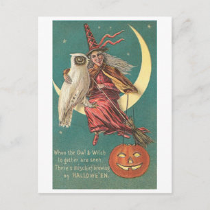 Owl and Witch Postcard