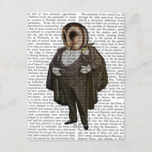 Owl At the Opera Postcard