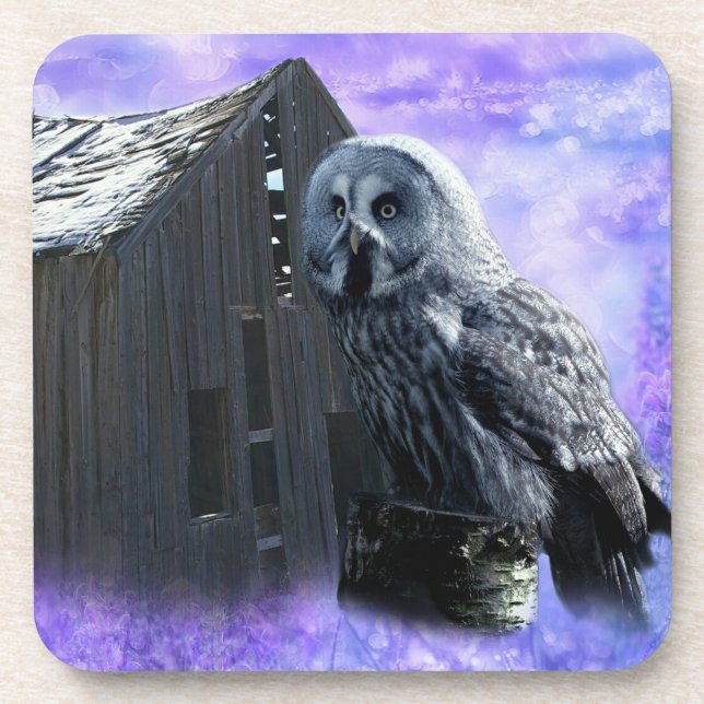 Owl Barn Shed Coaster (Front)