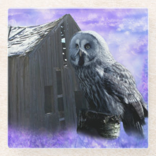 Owl Barn Shed Glass Coaster