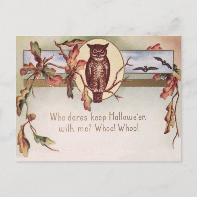Owl Bat Autumn Fall Colour Leaves Leaf Postcard (Front)