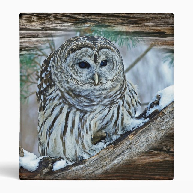 Owl Binder (Front)